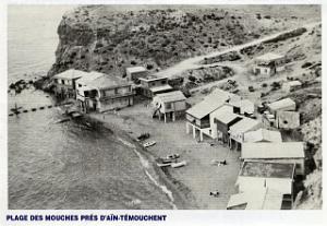 CO l- 01 Plage des mouches Ain temouchent